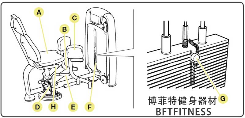 麻豆AV网站入口内展麻豆性爱网站