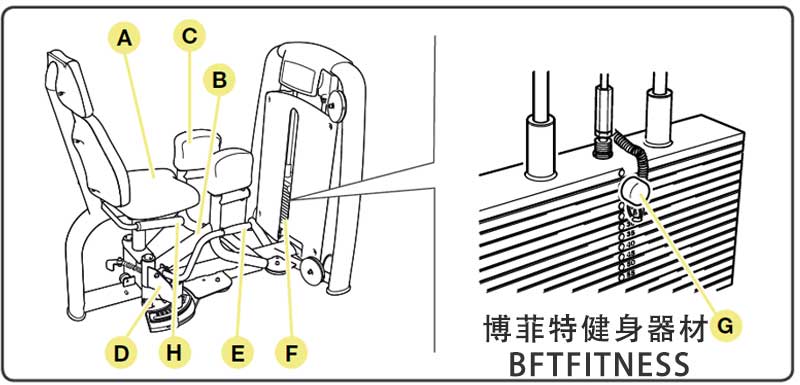 大腿外展外侧肌麻豆性爱网站